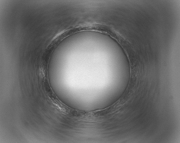 X0000080781206200701051319