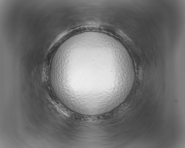 X0000080781208200701051319