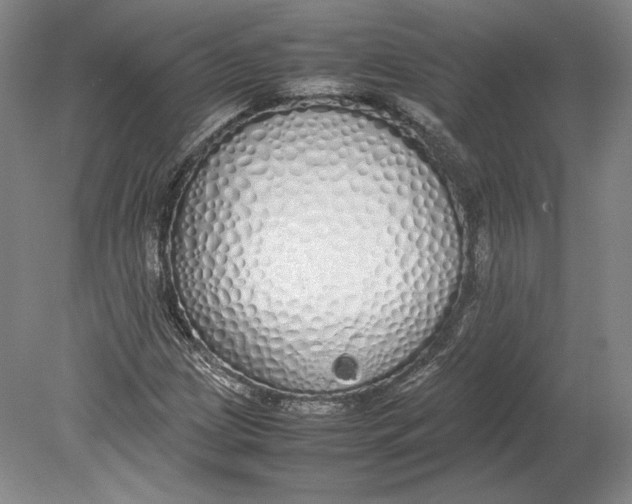 X0000080781209200701051319