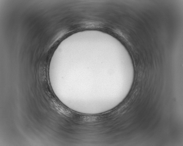 X0000080781211200701051319