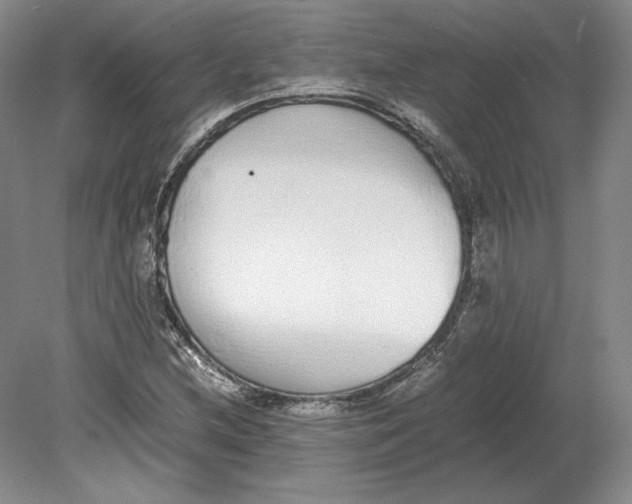 X0000080781212200701051319
