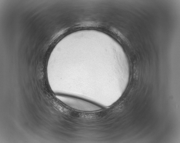 X0000080781213200701051319