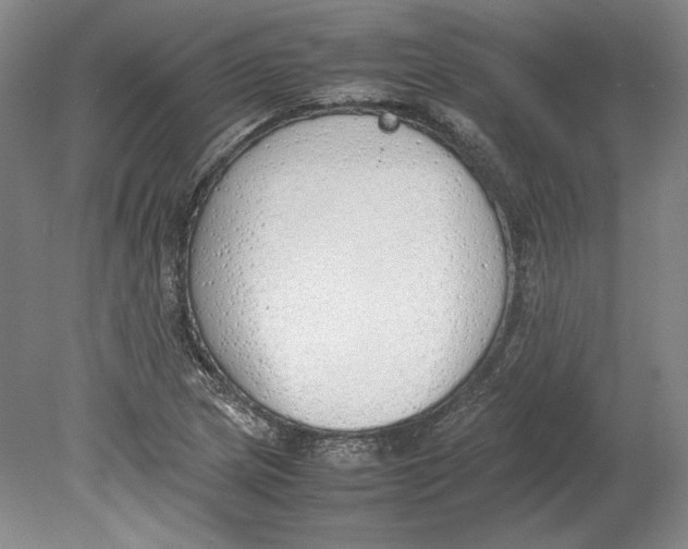 X0000080781217200701051319