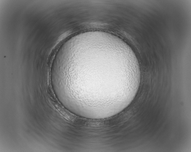 X0000080781219200701051319