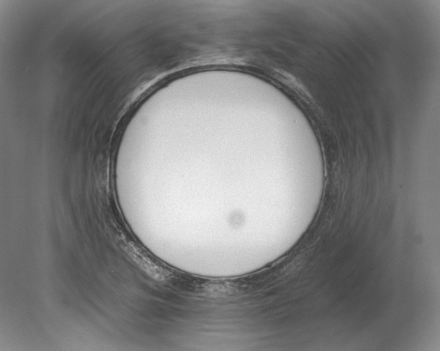 X0000080781220200701051319