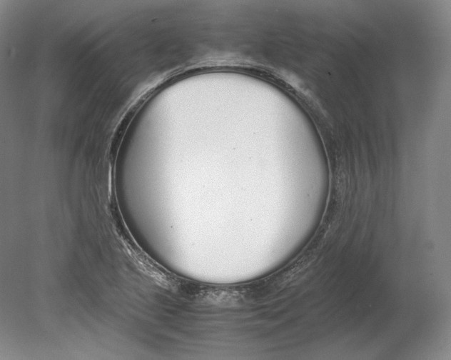 X0000080781221200701051319