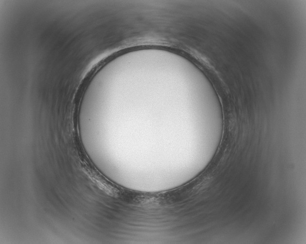 X0000080781222200701051319