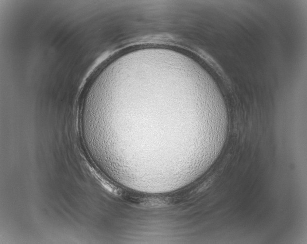 X0000080781224200701051319