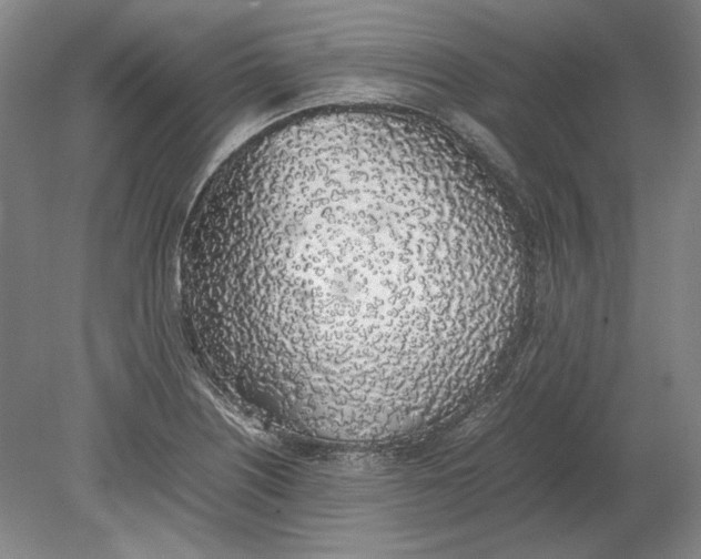X0000080781226200701051319