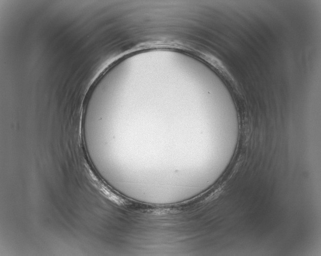 X0000080781228200701051319