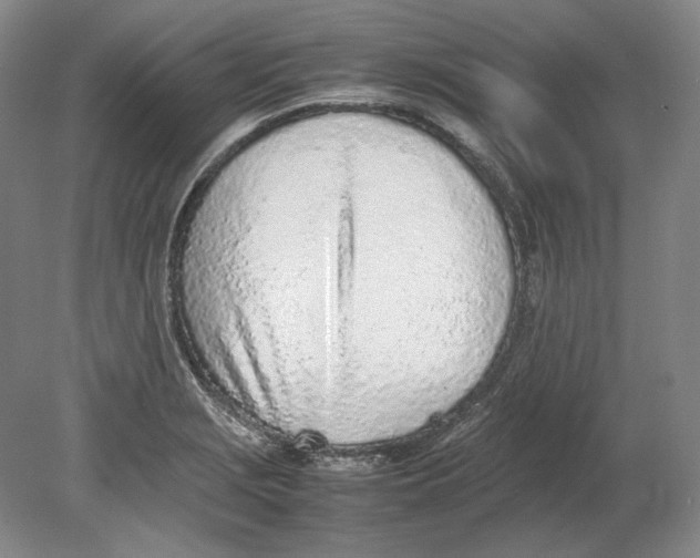 X0000080781229200701051319