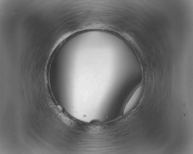 X0000080781230200701051319