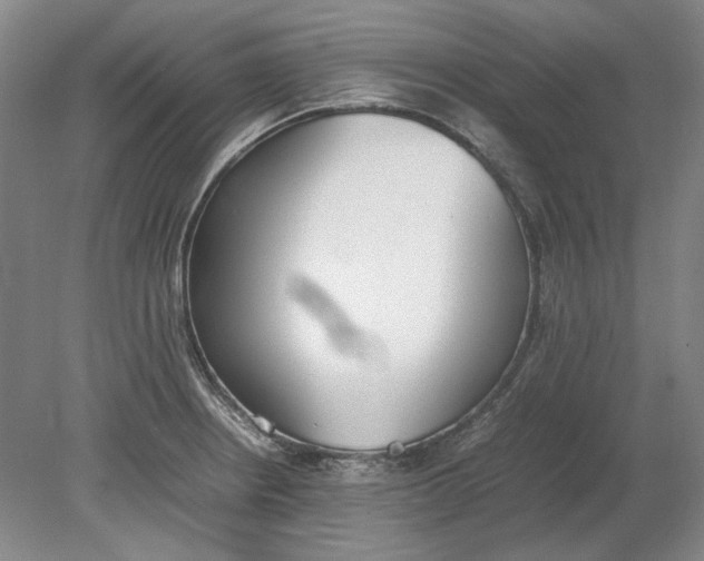 X0000080781234200701051319