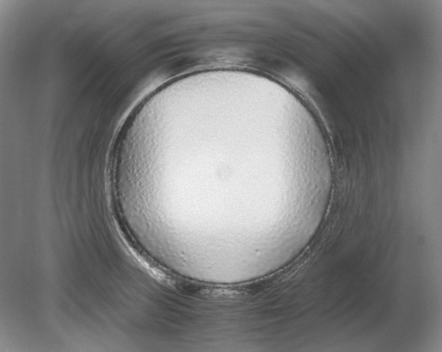 X0000080781235200701051319