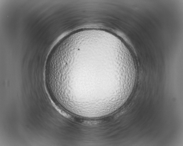 X0000080781237200701051319