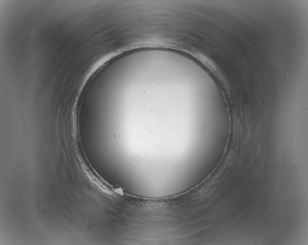 X0000080781238200701051319