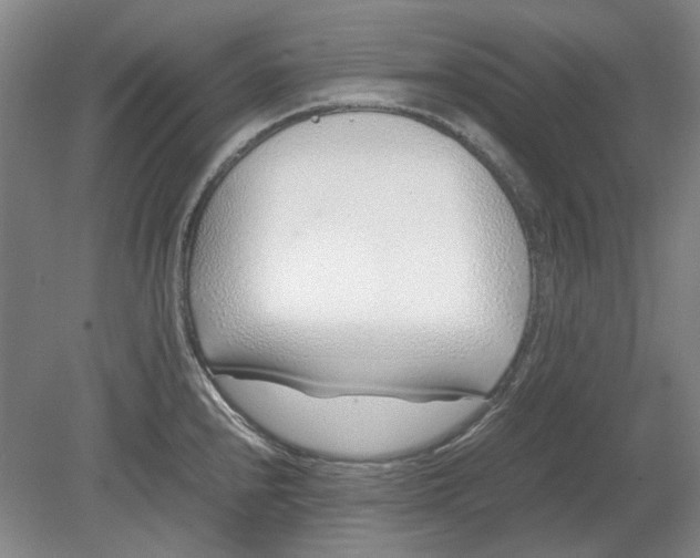 X0000080781240200701051319