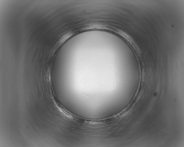 X0000080781241200701051319