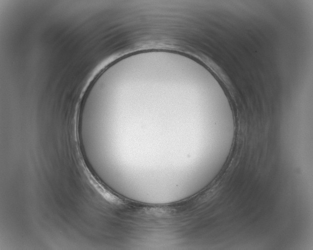 X0000080781246200701051319