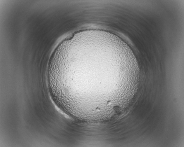 X0000080781247200701051319