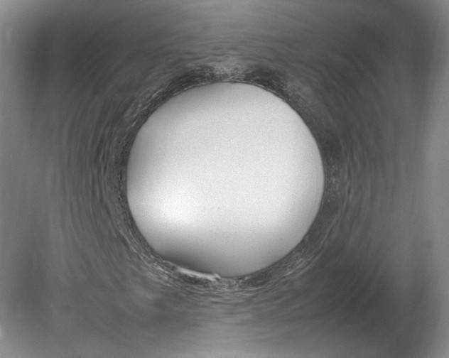 X0000080781249200701051319