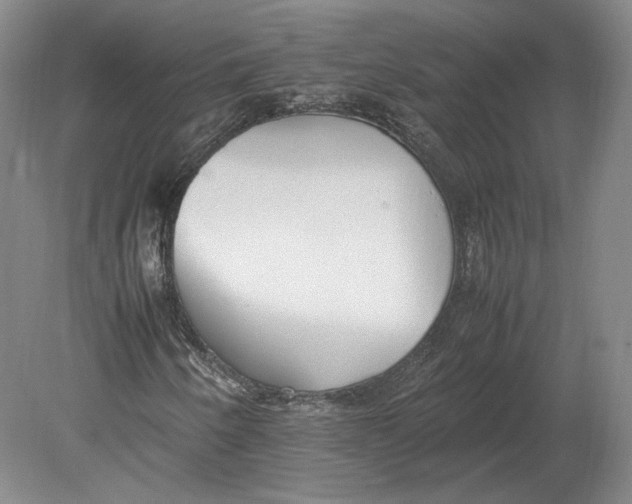 X0000080781250200701051319