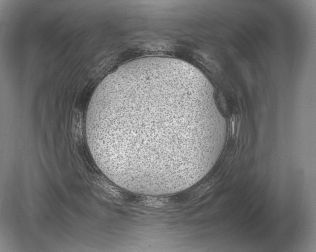 X0000080781251200701051318