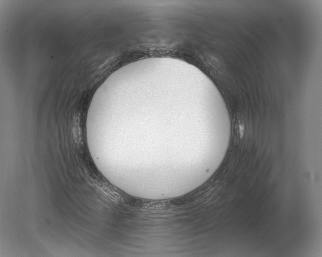 X0000080781252200701051318