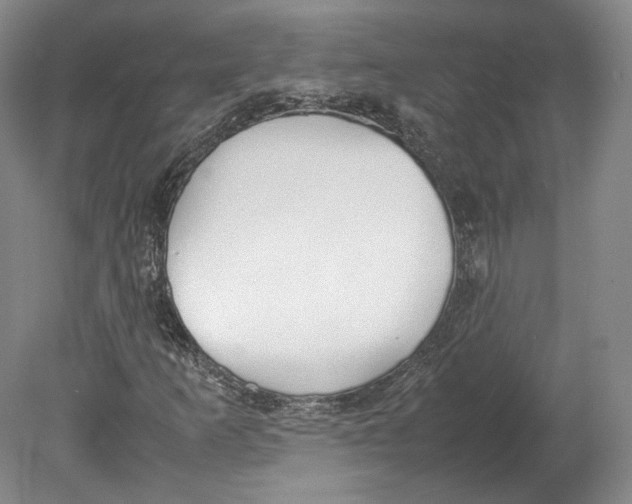 X0000080781253200701051318