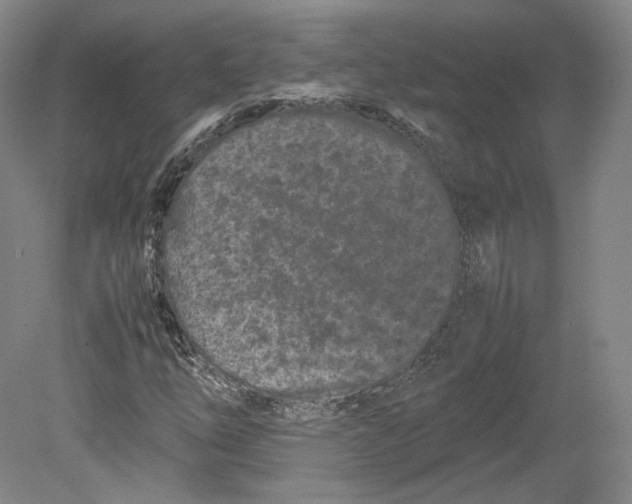X0000080781254200701051318