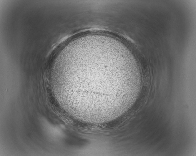 X0000080781255200701051318