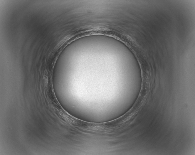 X0000080781257200701051318