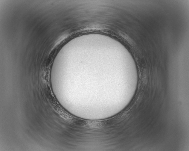 X0000080781258200701051318