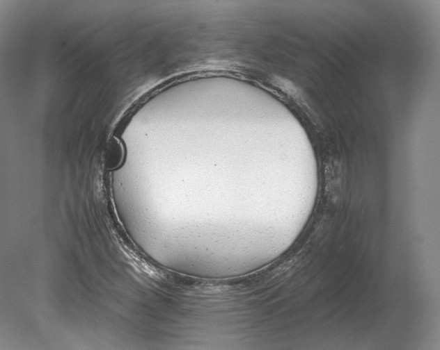 X0000080781260200701051318