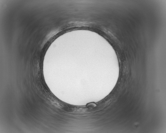 X0000080781261200701051318