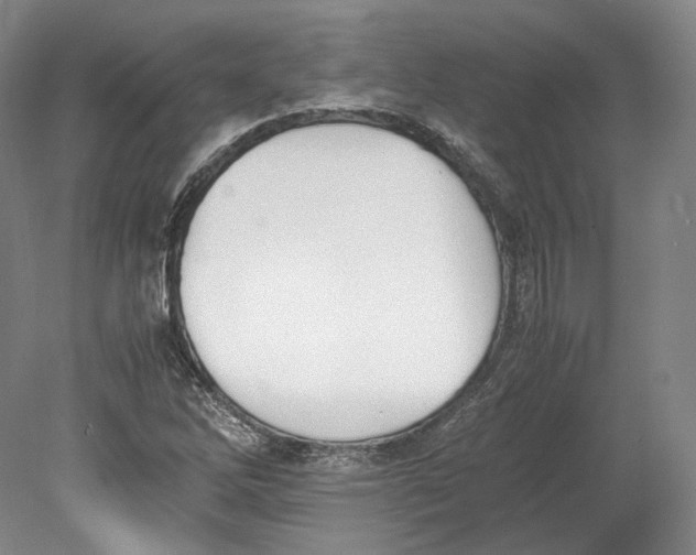 X0000080781262200701051318