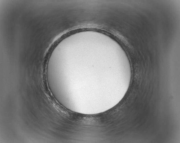 X0000080781264200701051318