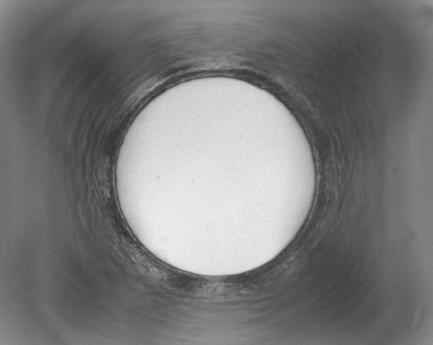X0000080781265200701051318