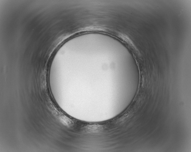 X0000080781268200701051318