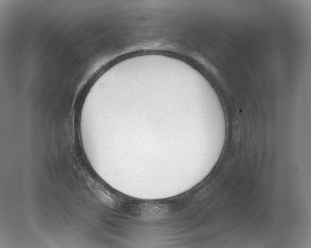 X0000080781270200701051318