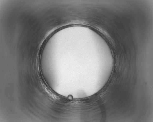 X0000080781272200701051318