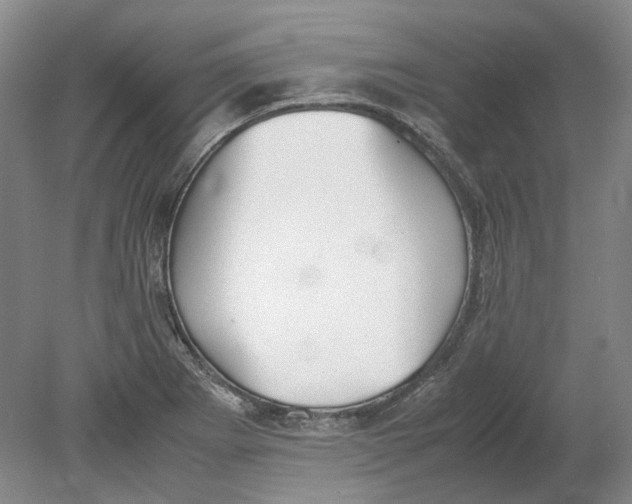 X0000080781273200701051318