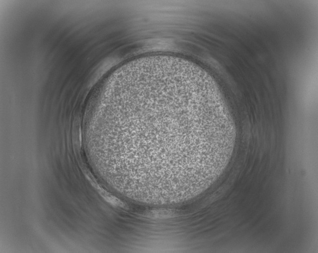 X0000080781274200701051318