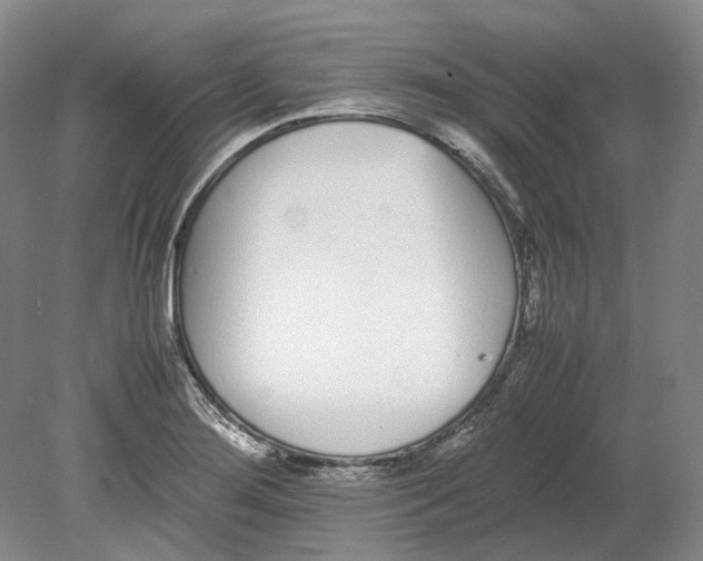 X0000080781276200701051318