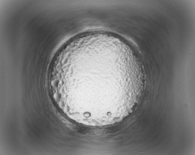 X0000080781279200701051318