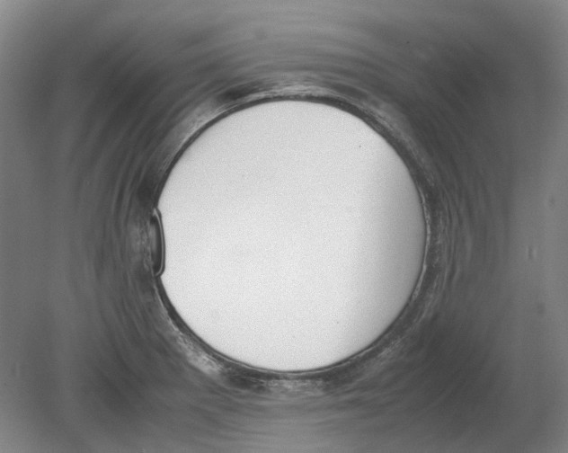 X0000080781281200701051318