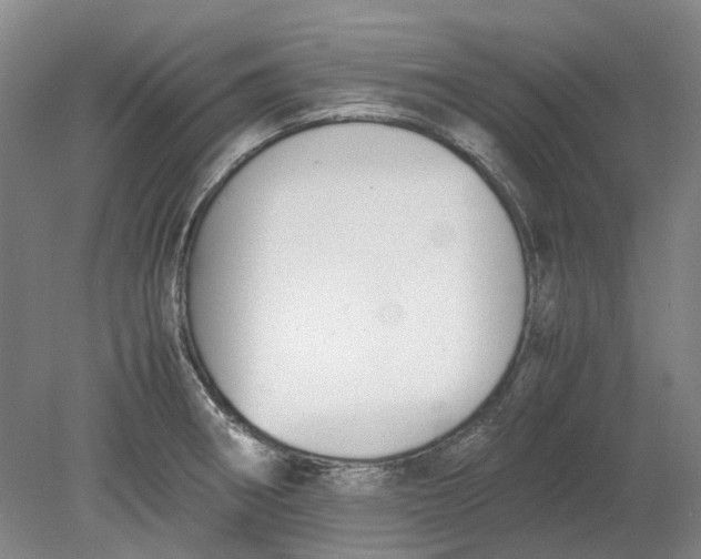 X0000080781282200701051318