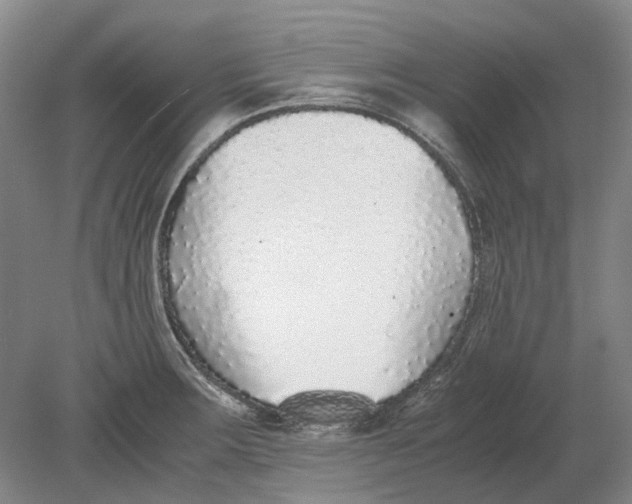 X0000080781283200701051318