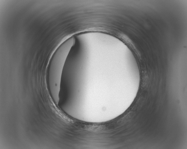 X0000080781284200701051318