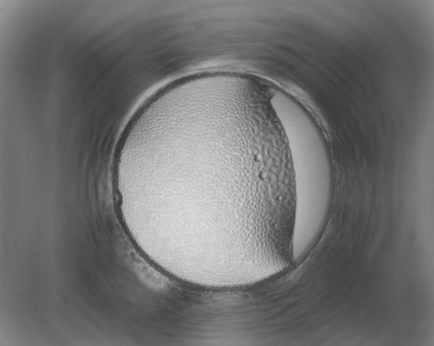 X0000080781288200701051318